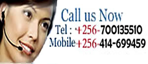 call-us-now