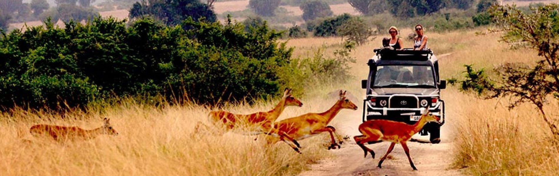 Uganda car rental trip to Queen Elizabeth national park 