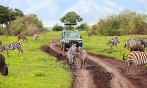 Safari Land cruiser in national park