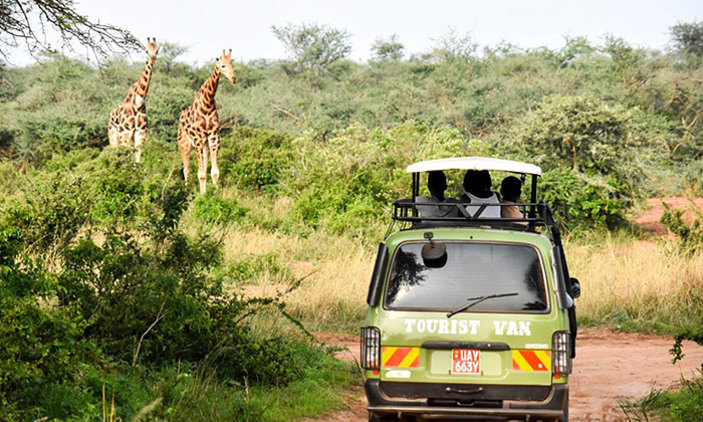 Safari car hire in Uganda