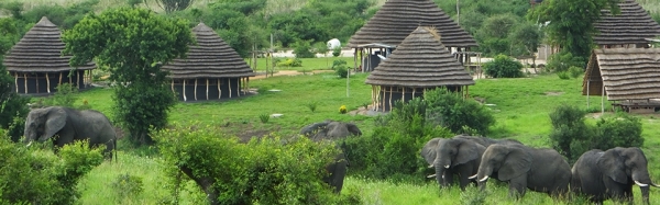 Murchison falls park