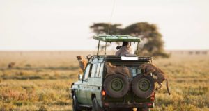 wild safari uganda