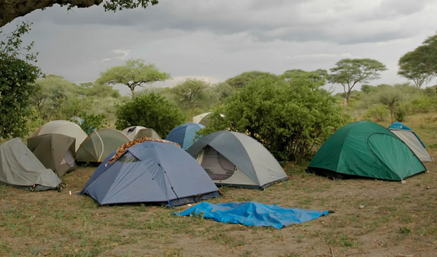 Murchison falls park