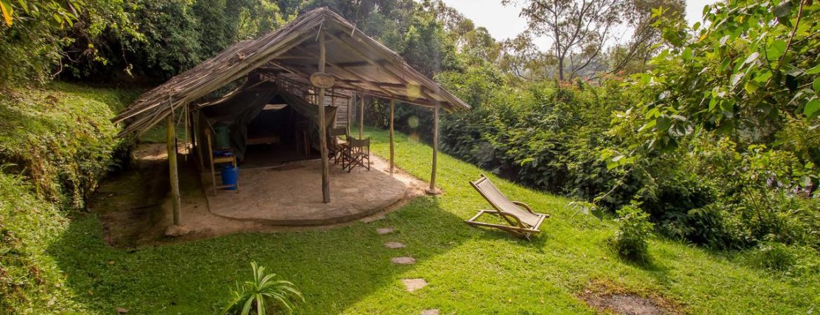 Bushara camp