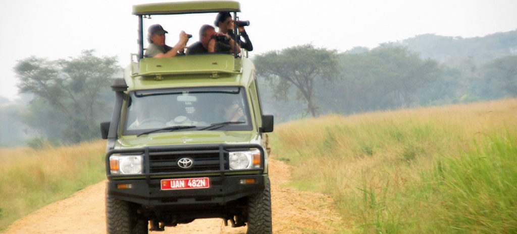 Game drive in Uganda national parks with tour guide