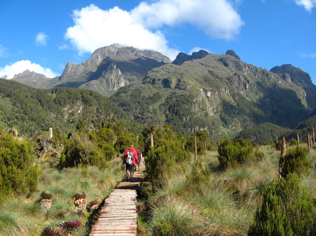 Rwenzori mountains