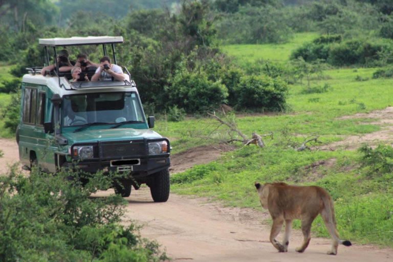 Murchison Falls Park Self Drive- Hire 4x4 Car In Uganda