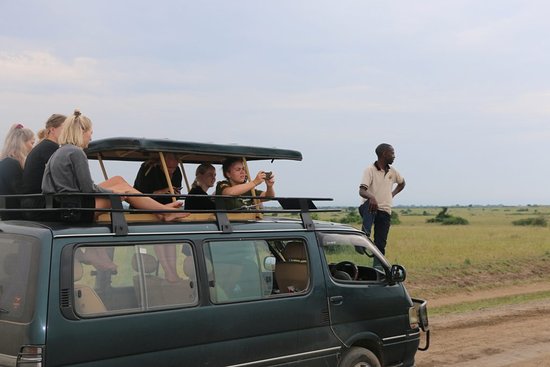 Safari van in national park