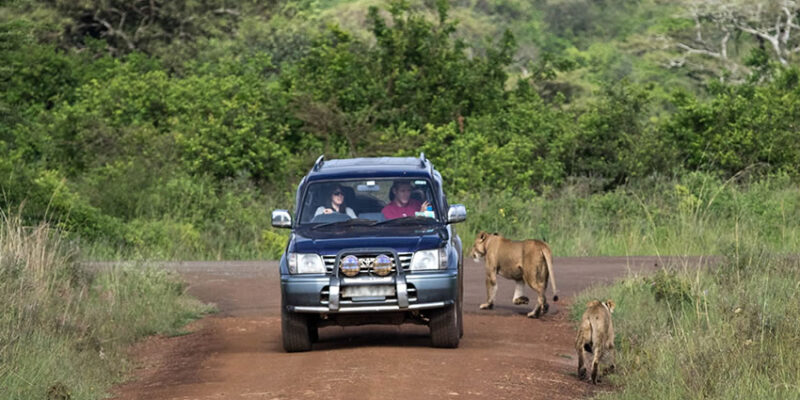 Self drive Rwanda