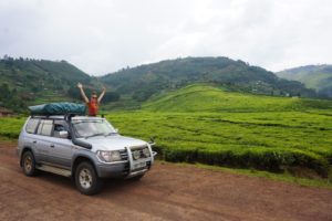 Self drive safari in Uganda's parks