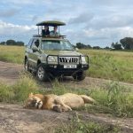 4×4 Safari Cars