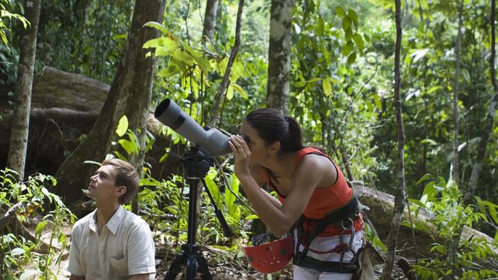 Bird watching expeditions in parks & villages