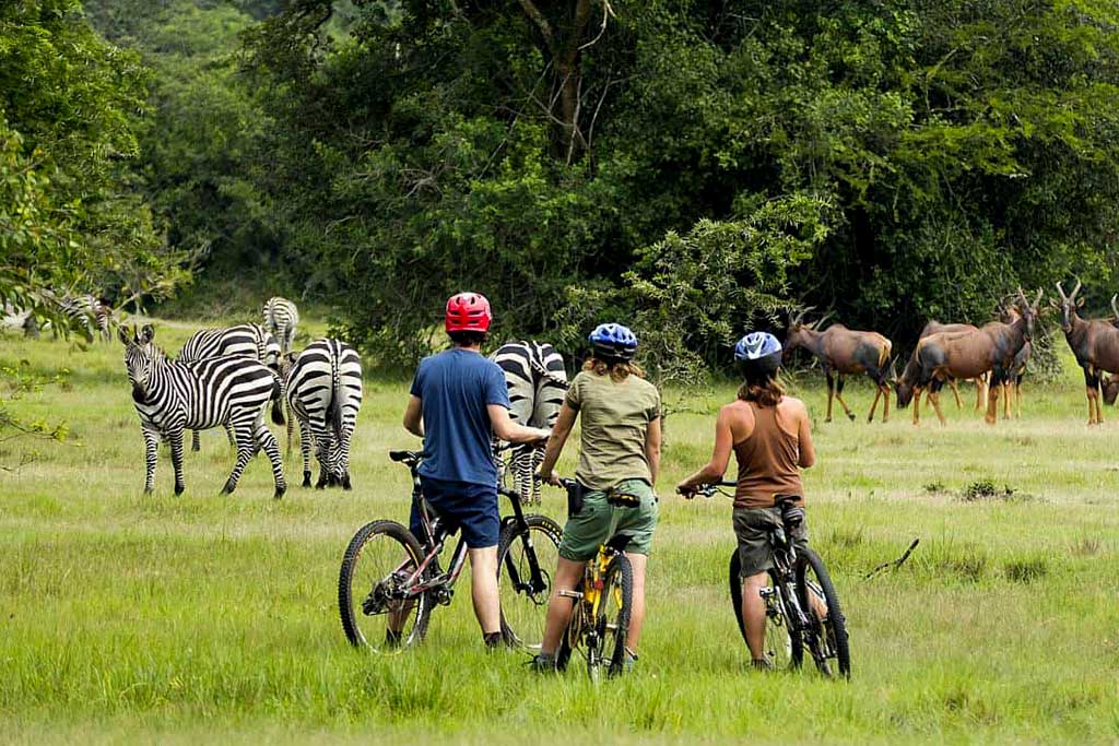 Explore Lake Mburo park on bicycle