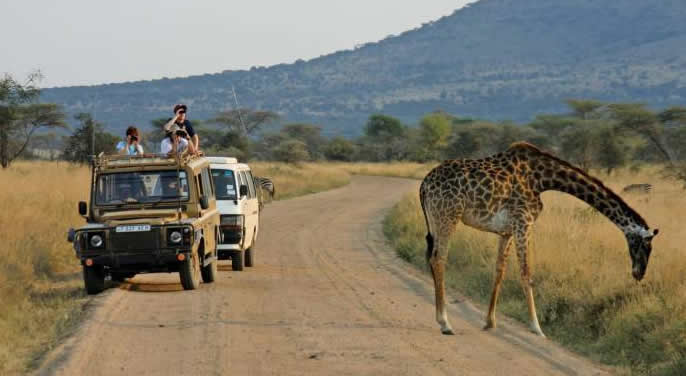 Game drives in Uganda