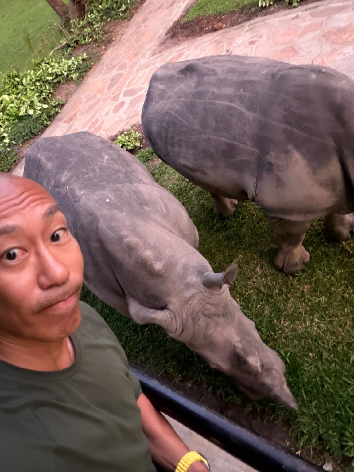 Rhino tracking in Uganda