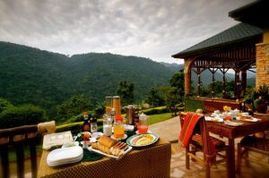 Bwindi safari lodge Uganda