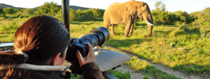 Uganda safari photography