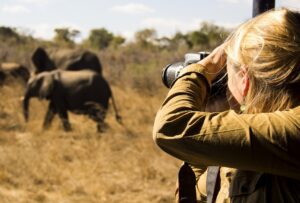 Photography safaris in Uganda