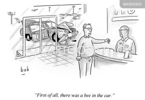 Funny car rental cartoons