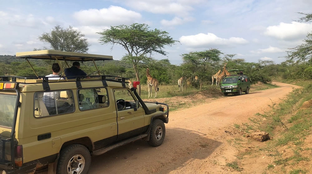 driving to Lake mburo park 