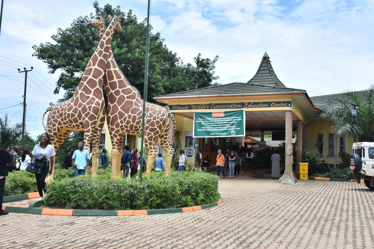 drive-entebbe-zoo | Uganda Car Rental Services driving to Entebbe zoo