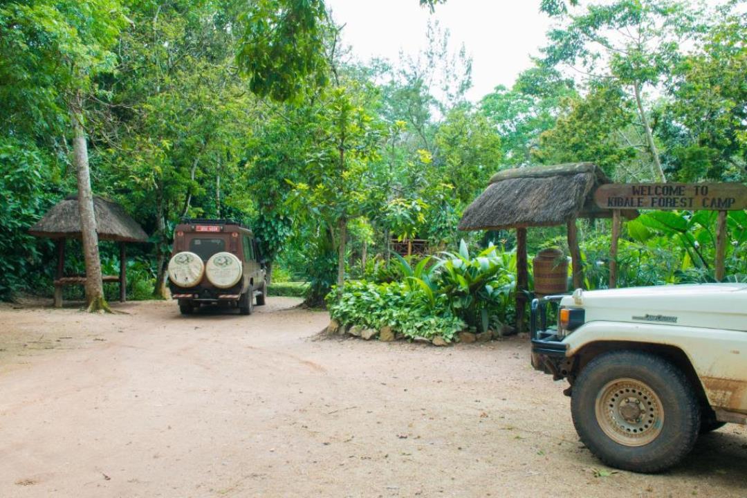 4x4 rental for safari to Kibale forest 