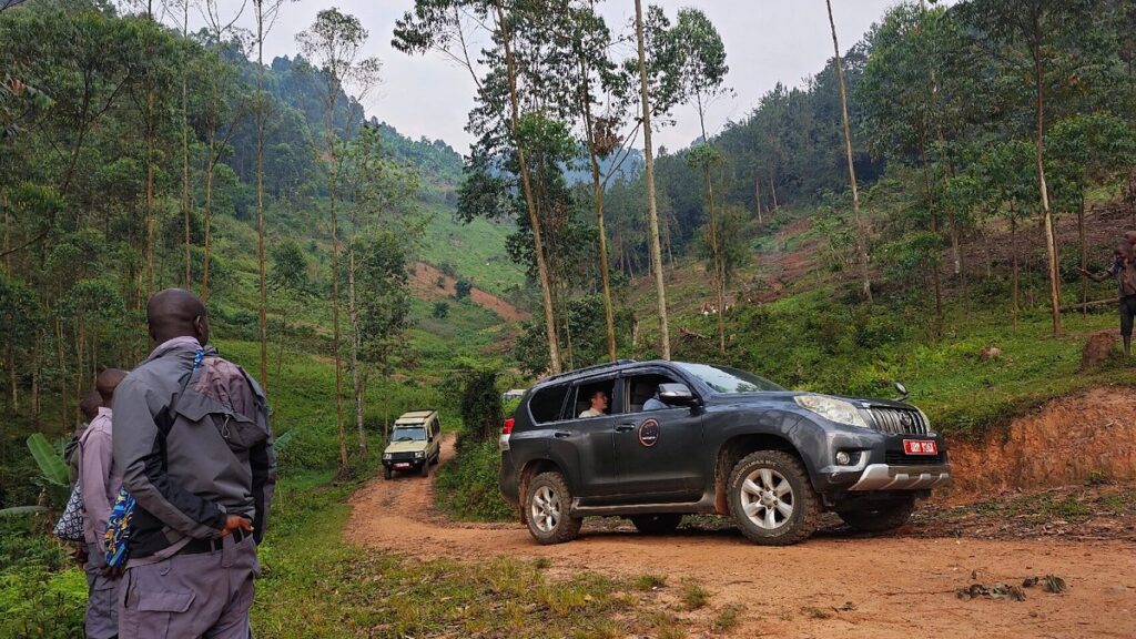 Rent a car & gorilla trekking permit in Uganda