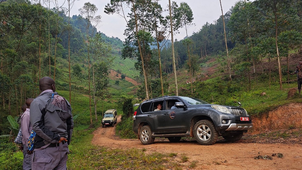 Rent a car & gorilla trekking permit in Uganda