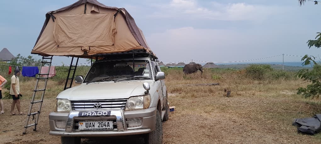 rooftop-tent-land-cruiser-safari | Uganda Car Rental Services Rooftop tent land cruiser