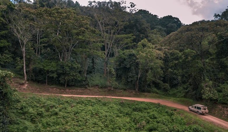 Rwanda Uganda self drive adventure tours